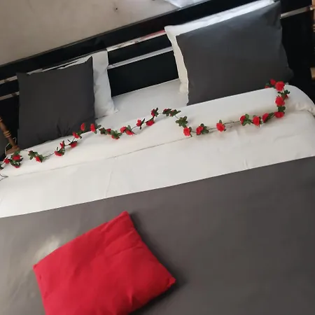 Paradis D'hotes Proche Paris - Aeroport Charles De Gaulle Airport - Parc Des Exposition Villepinte - Dysnayland Paris. Bed & Breakfast Tremblay-en-France
