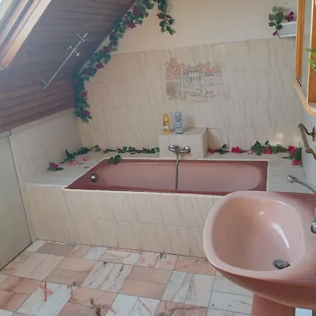 Bed & Breakfast Paradis D'hotes Proche Paris - Aeroport Charles De Gaulle Airport - Parc Des Exposition Villepinte - Dysnayland Paris. Tremblay-en-France